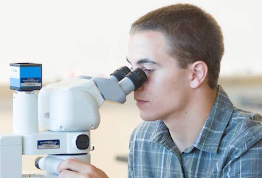 Person using a microscope.